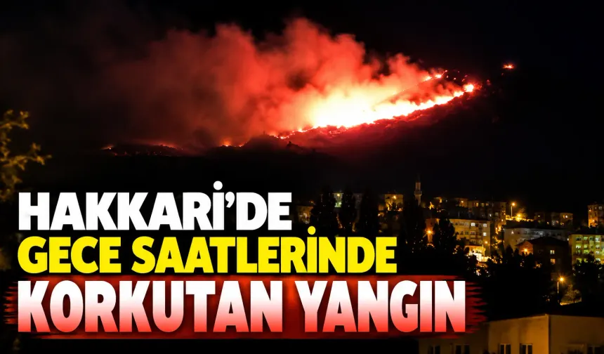 Hakkari’de gece saatlerinde korkutan yangını