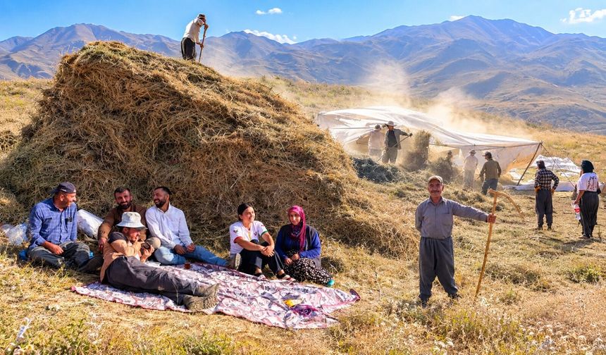 Hakkari’de kış hazırlığı: Otlar patoza atılıp hayvan yemi yapılıyor