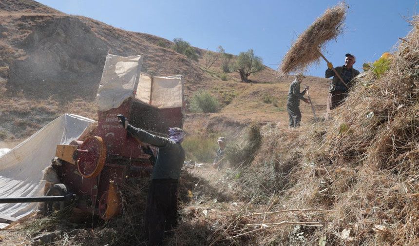 Hakkari'de besicilerin patoz mesaisi başladı