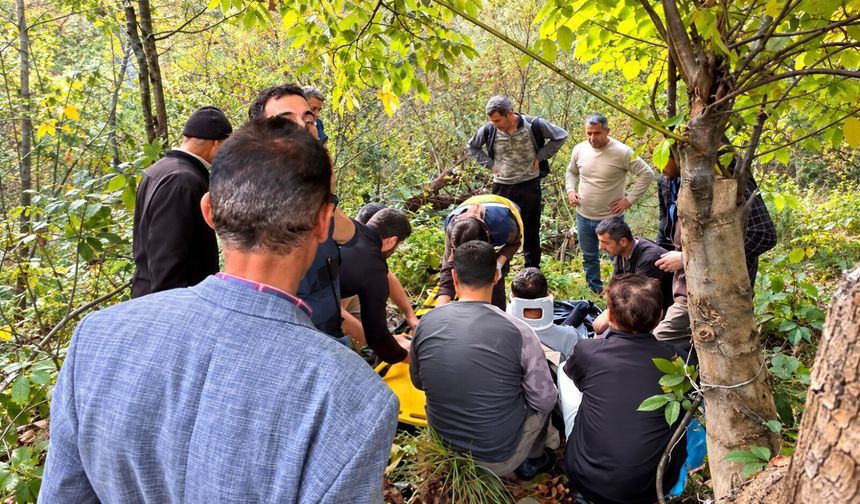 Hakkari’de ceviz ağacından düşen vatandaş yaralandı