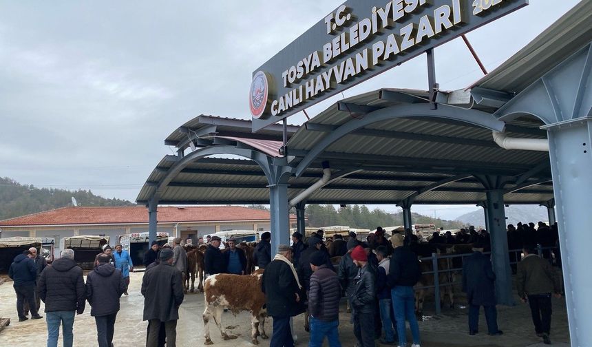 Hayvan Pazarı Şap nedeniyle kapatıldı