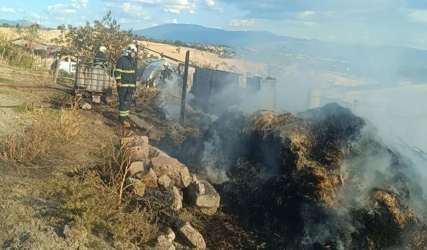 Ahır yangınında 1 kişi öldü, çok sayıda hayvan telef oldu