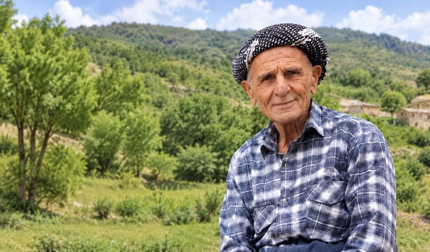 Hakkari’de ceviz ağacından düşen Güldal hayatını kaybetti