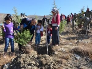 Hakkari’de 50 bin fidan toprakla buluştu