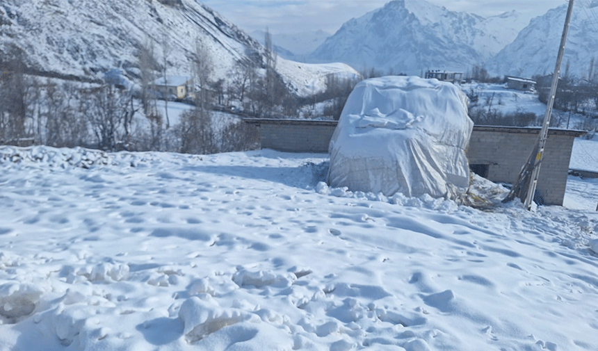 Hakkari'de kar ve sis etkili oldu