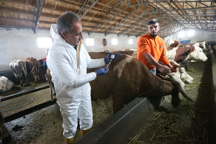 2025 12 20251222 2 72161346 120409864