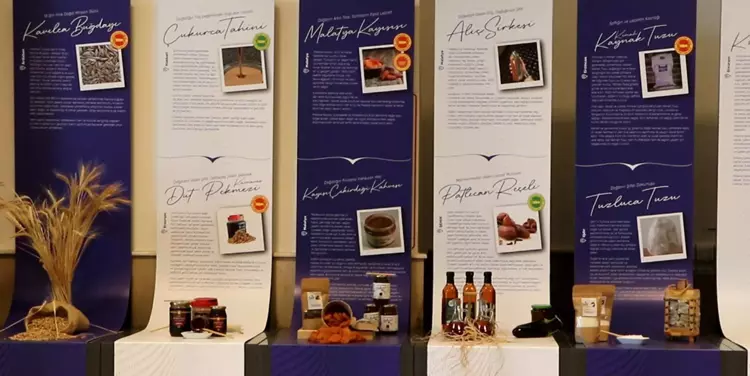 69537D4Fd8089077C6442E43