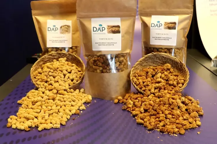 69537D4Fd8089077C6442E46