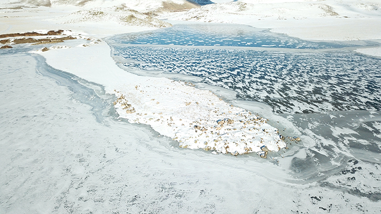 007 2025 01 Aralik 26 Aralik 5 20251218 2 72110545 120282194