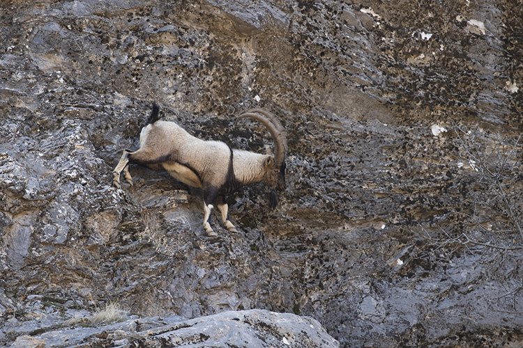 07 09 15 A A 40022720