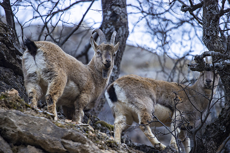 07 09 15 A A 40022725