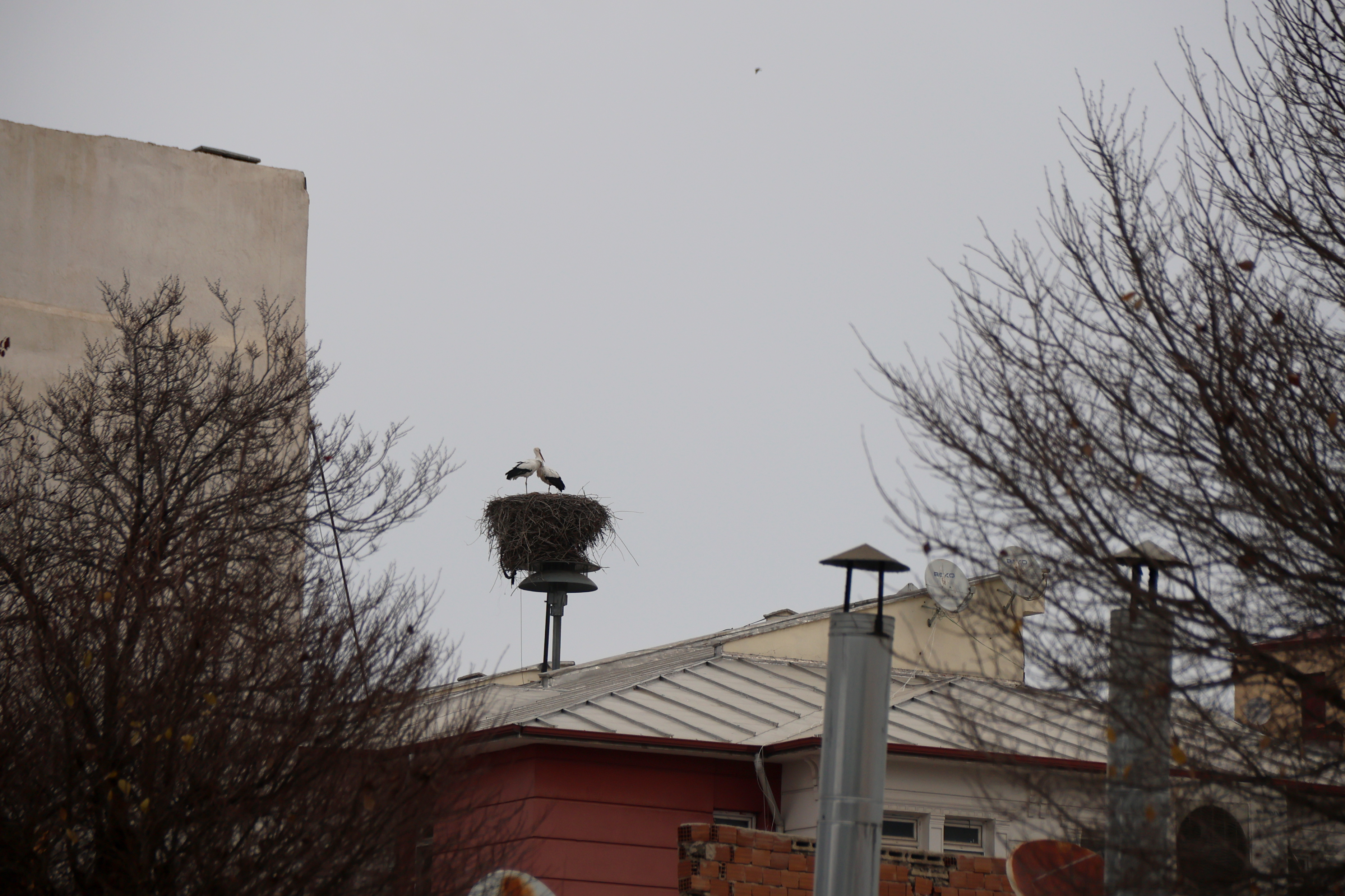 A A 20251226 40080979 40080961 K U R E S E L I S I N M A I G D I R D A K I L E Y L E K L E R I N G O C A L I S K A N L I G I N I D E G I S T I R D I