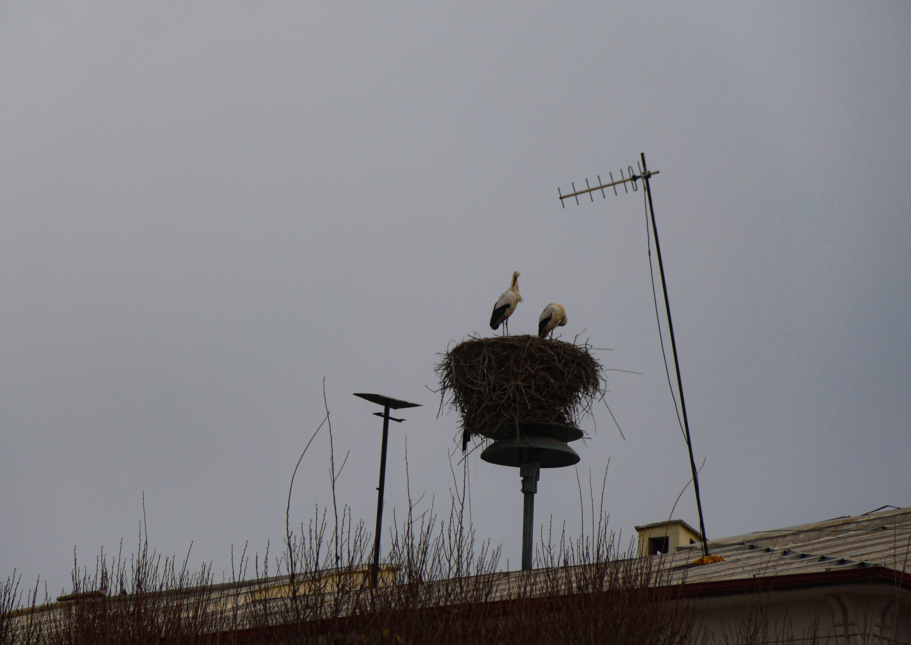 A A 20251226 40080979 40080963 K U R E S E L I S I N M A I G D I R D A K I L E Y L E K L E R I N G O C A L I S K A N L I G I N I D E G I S T I R D I