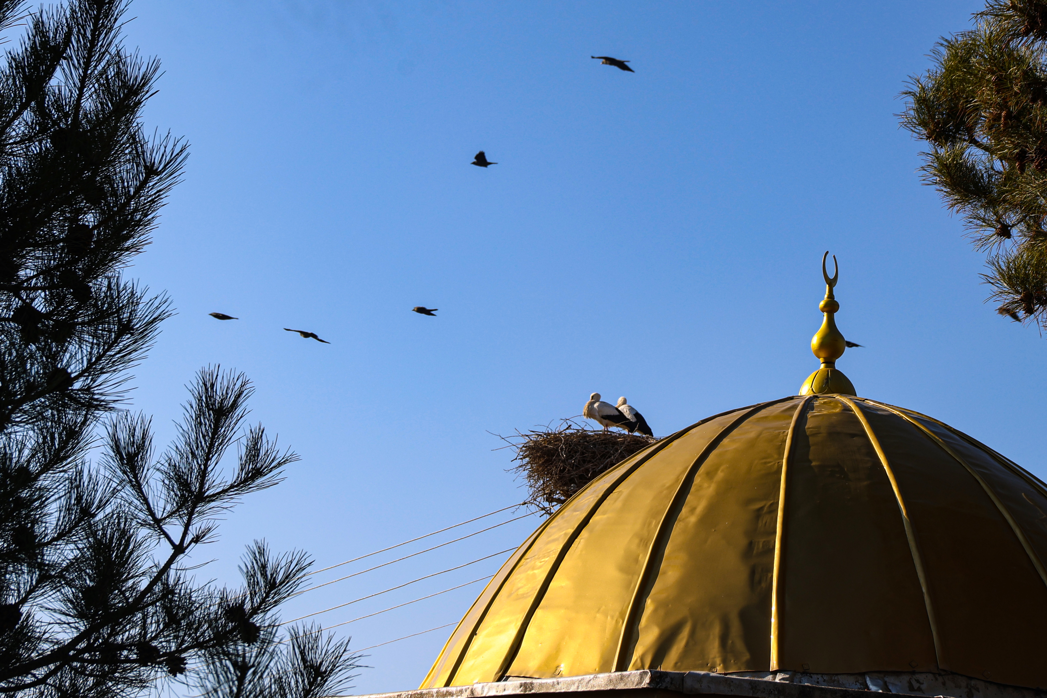 A A 20251226 40080979 40080966 K U R E S E L I S I N M A I G D I R D A K I L E Y L E K L E R I N G O C A L I S K A N L I G I N I D E G I S T I R D I