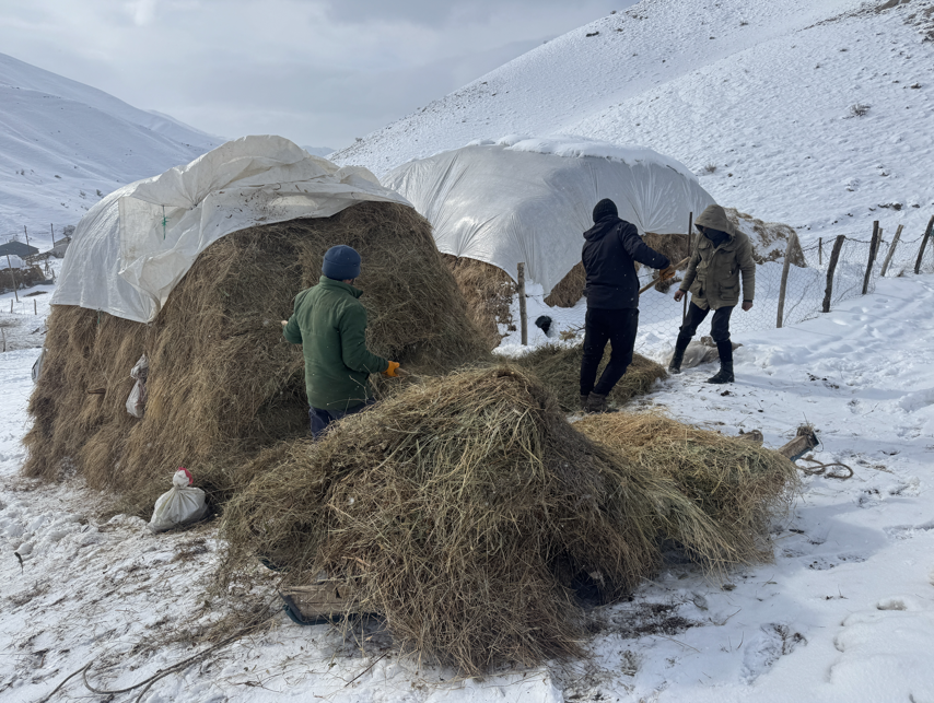 Ekran Görüntüsü 2025 12 21 141040