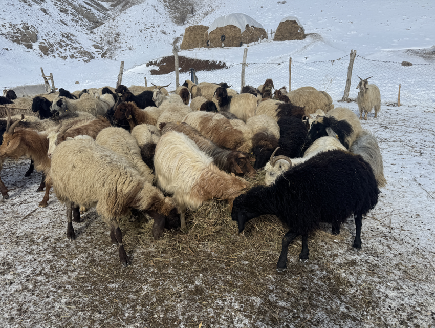 Ekran Görüntüsü 2025 12 21 141049