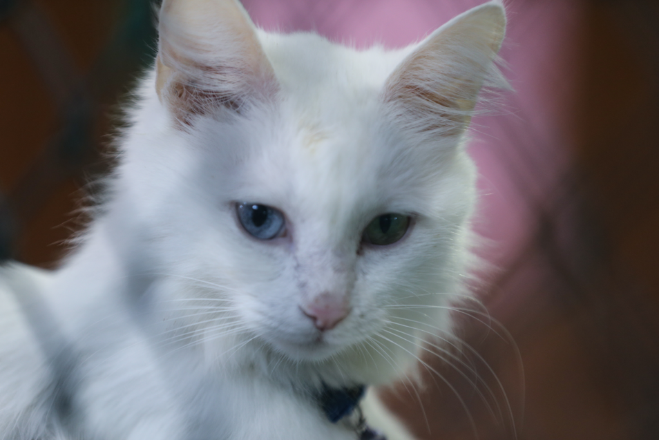 Ekran Görüntüsü 2025 12 24 120802