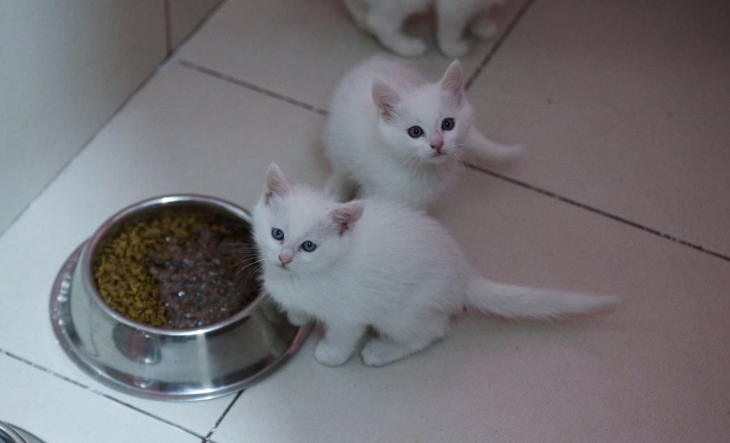 Ekran Görüntüsü 2025 12 24 120819