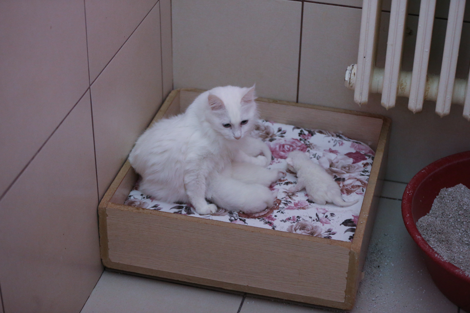 Ekran Görüntüsü 2025 12 24 120829