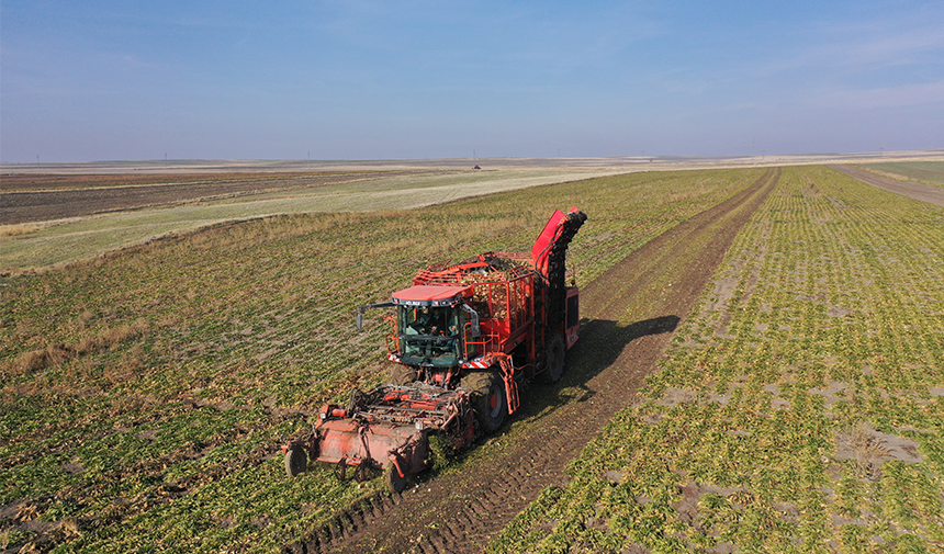 Kars Seker Pancarı 2