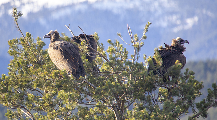 New Folder 2025 Aralik 20 20251220 2 72140641 120351301