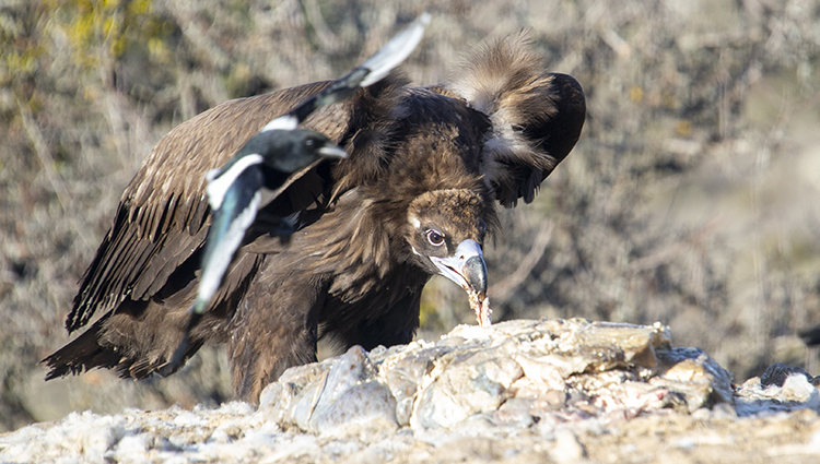 New Folder 2025 Aralik 20 20251220 2 72140658 120351404