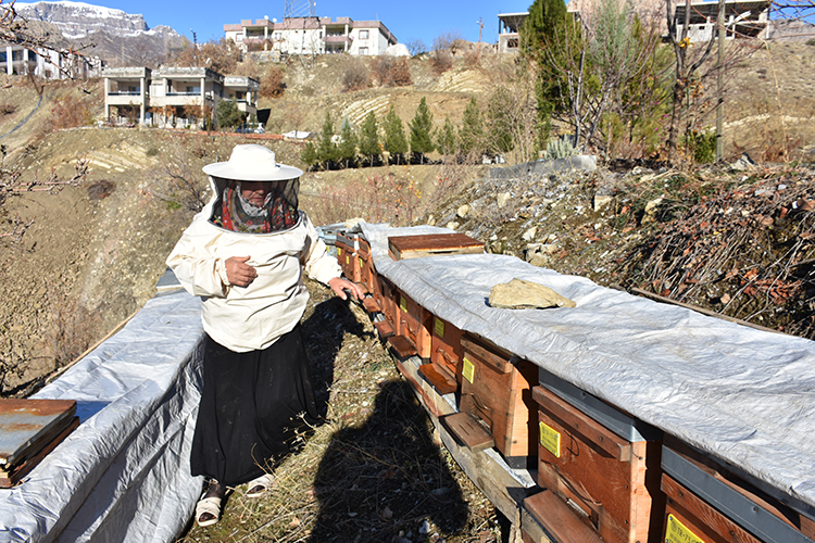 06 2025 01 A R A L I K 06 20251223 2 72174277 120434564