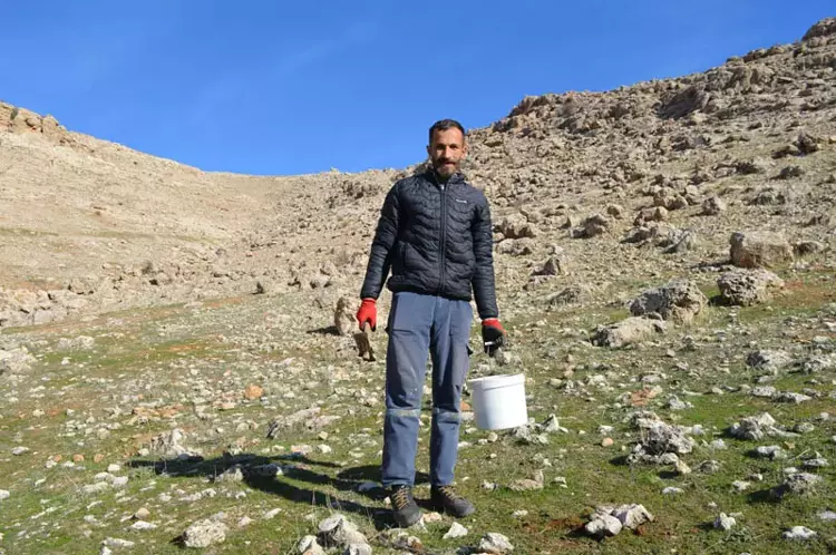 694Ba064A322C59Cc7859607