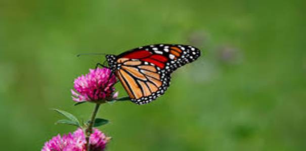 Image 20251204151045 2