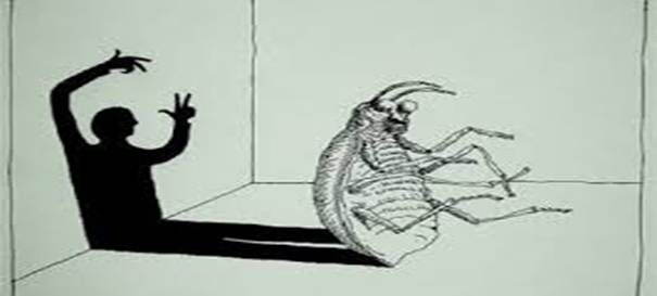 Image 20251204151045 3