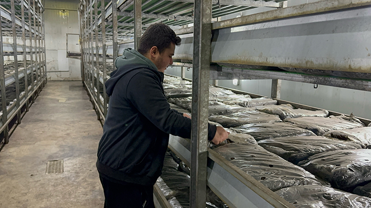 New Folder 2025 Aralik 24 20251224 2 72188033 120463123