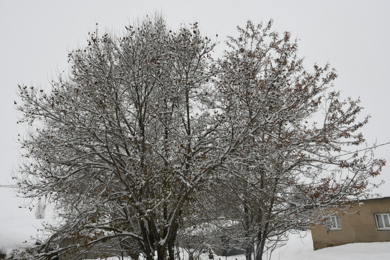 Whatsapp Görsel 2025 12 15 Saat 08.42.48 094D9966