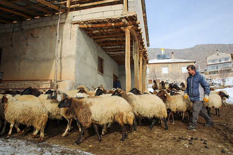 01.08 1 New Folder (15) 20260110 2 72432273 121019641