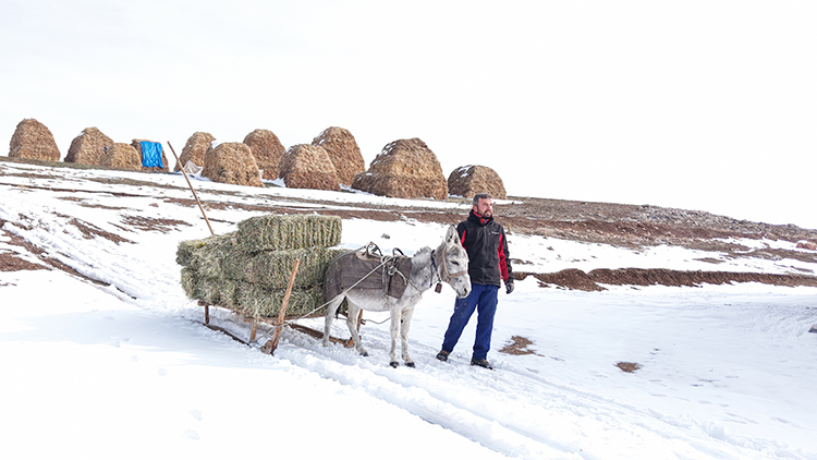 01.08 1 New Folder (15) 20260110 2 72432273 121019660