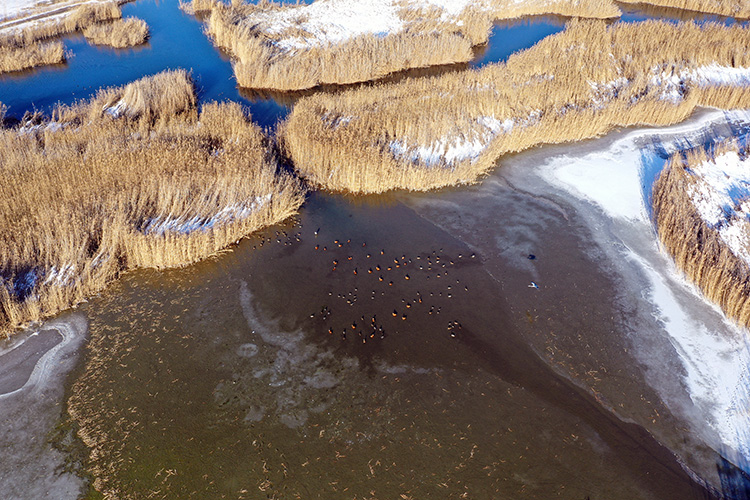 07 09 11 A A 40162351