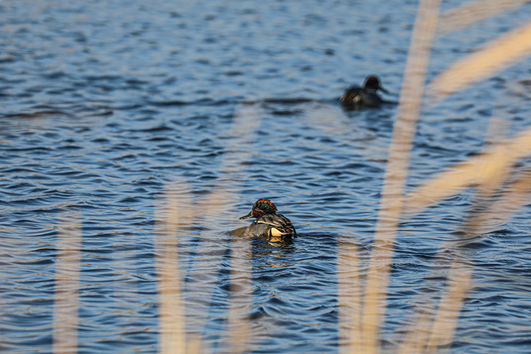 07 09 11 A A 40162356