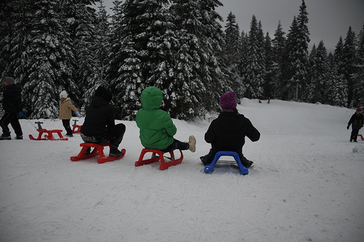 2026 01 10 20260110 2 72438310 121034494