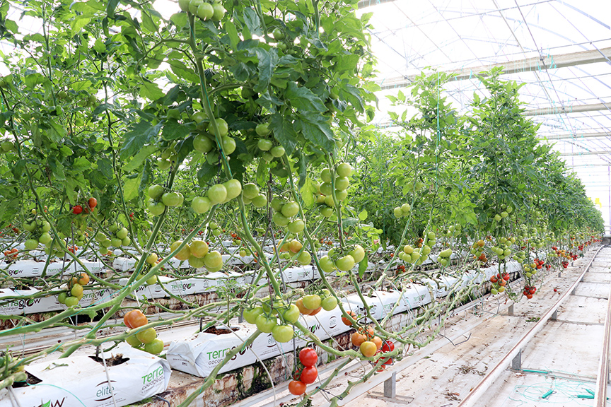 2026 Ocak 30 20260130 2 72727058 121707427