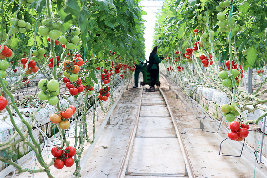 2026 Ocak 30 20260130 2 72727058 121707432