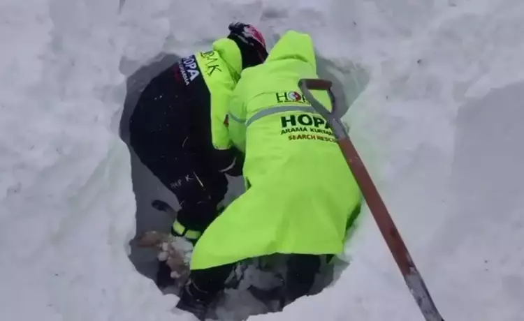 695636C3A054E9E8B2057Cf4