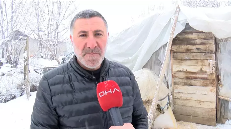 6958B4Baa322C59Cc785D4A5