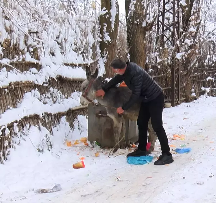 6958B4Baa322C59Cc785D4A8