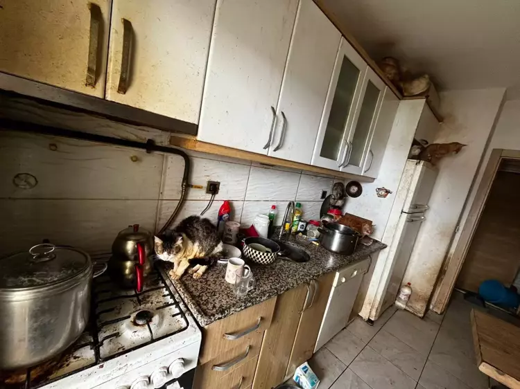 695Bd57Cd8089077C644657D