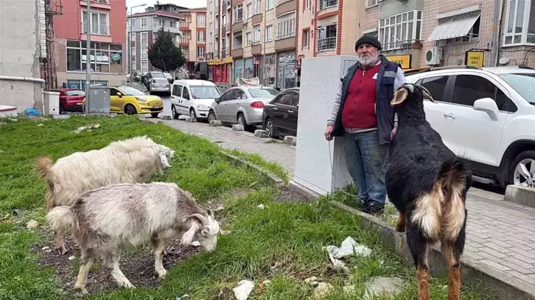 695E018Da322C59Cc785E0B8