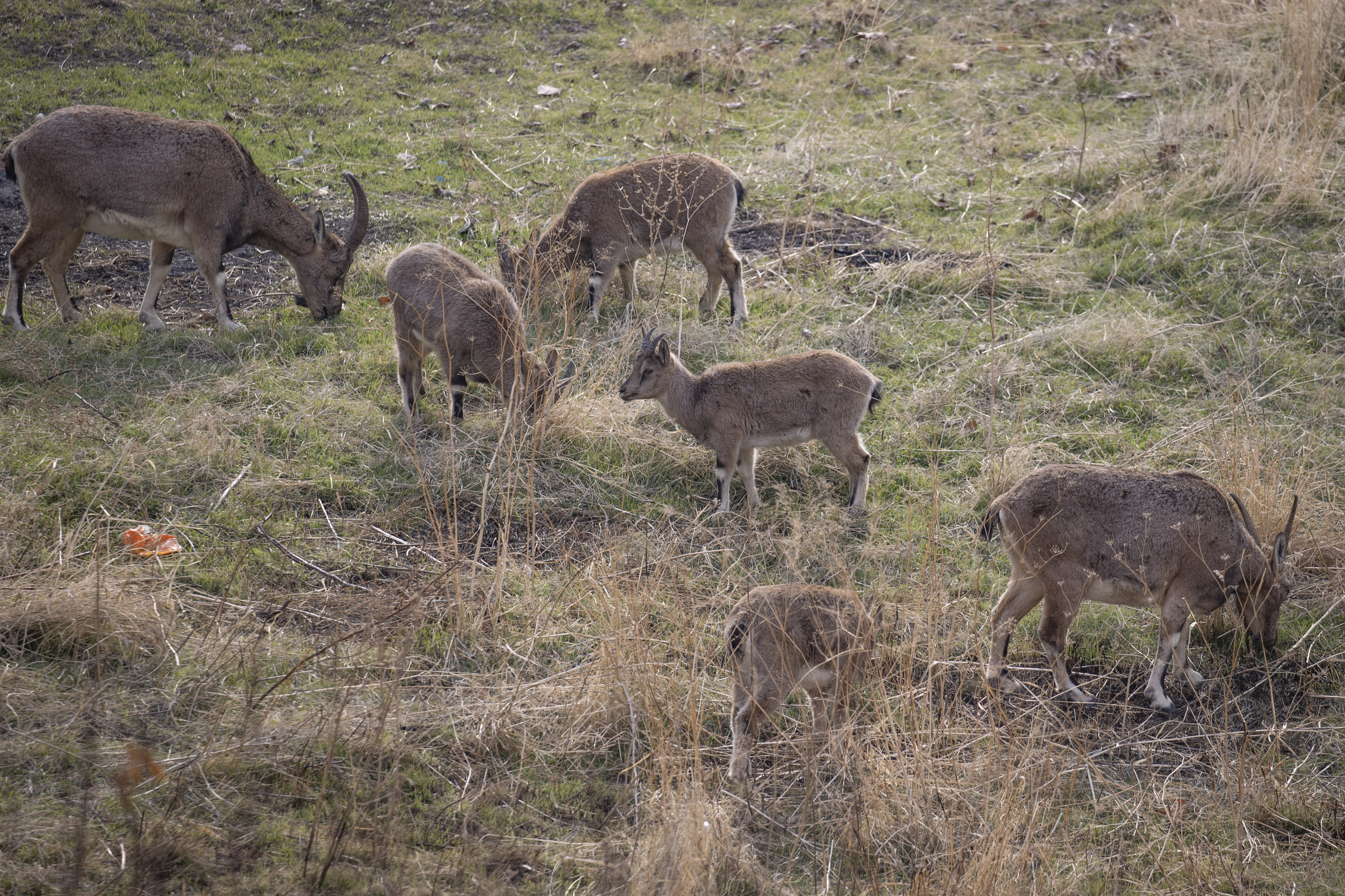 A A 20260101 40132391 40132389 T U N C E L I D E Z I R V E L E R D E N I N E N Y A B A N K E C I L E R I C E M I S G E Z E K I L C E S I N D E G U V E N L E Y A S I Y O R