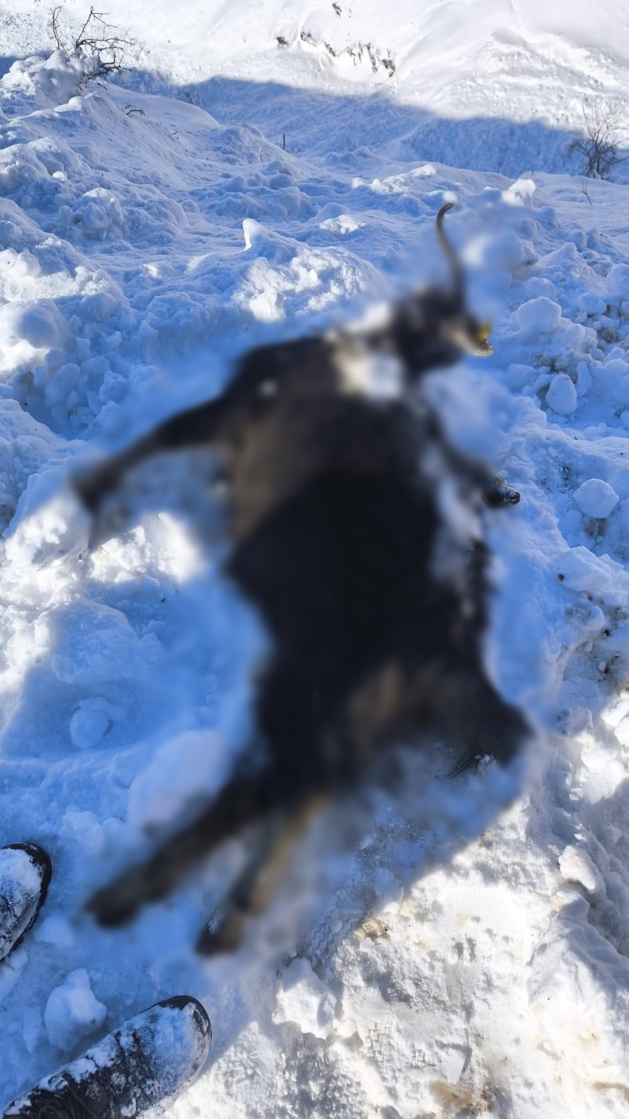 B A T M A N D A A H I R A C I G D U S T U 44 K U C U K B A S O 1094671 324917