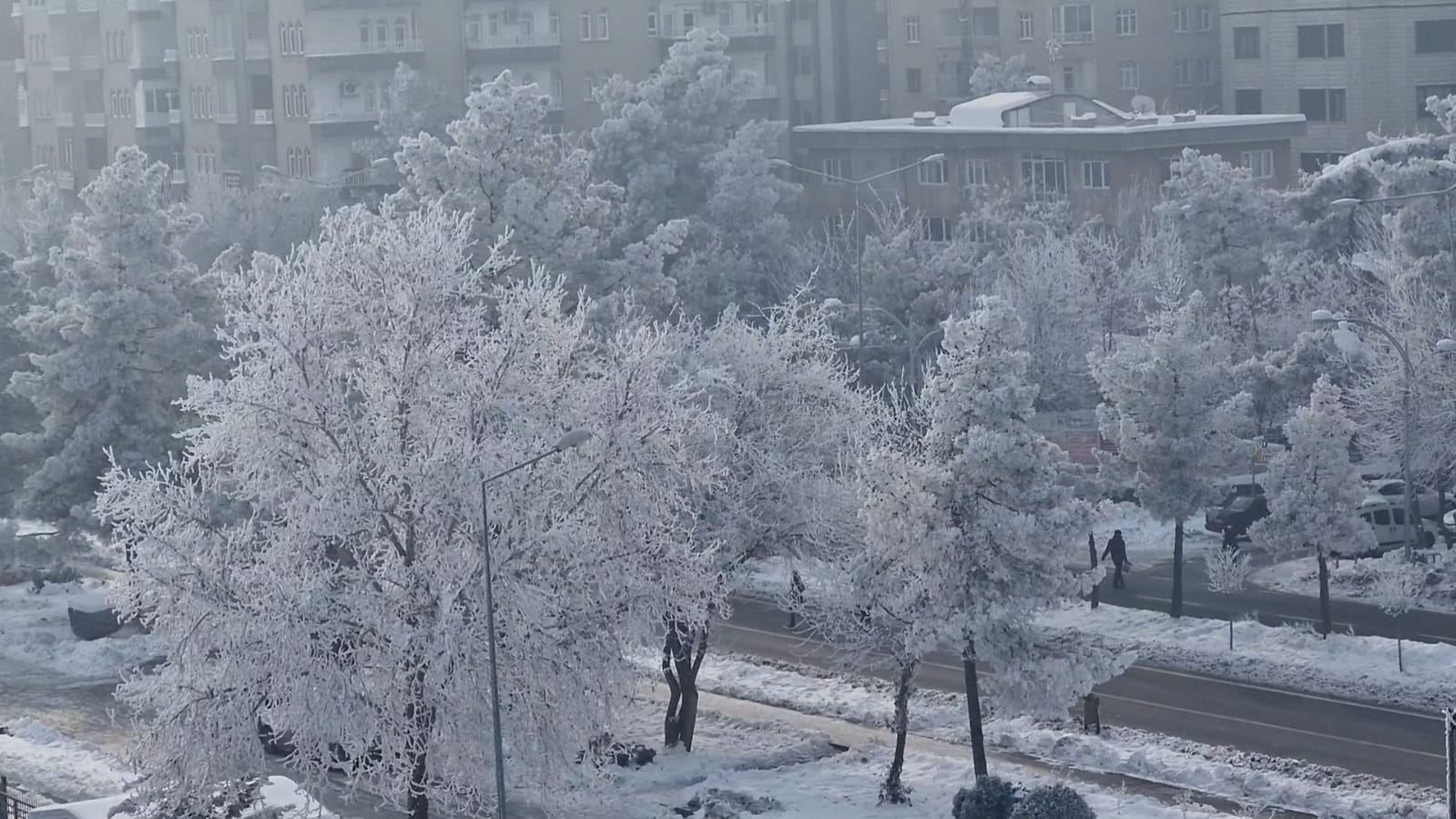 D I Y A R B A K I R D A Y O G U N S I S G O R U S M E S A F E S I 1100035 326549