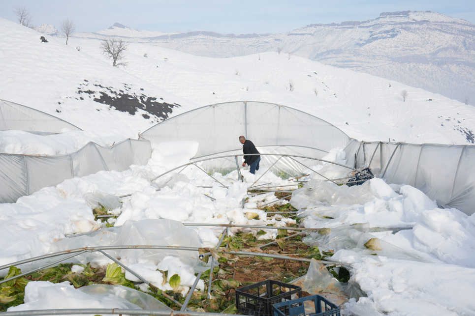 Ekran Görüntüsü 2026 01 07 115355