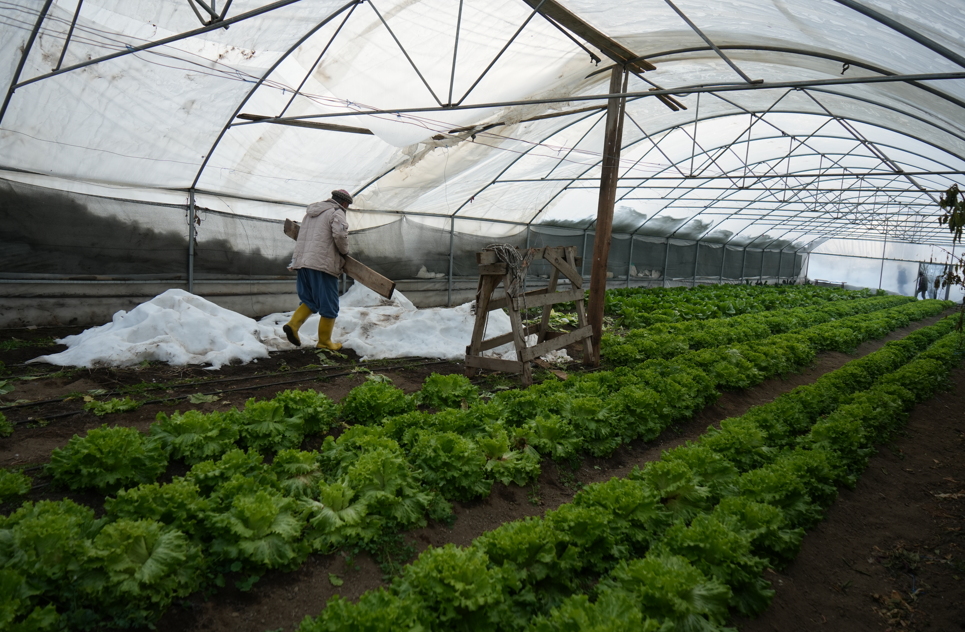 Ekran Görüntüsü 2026 01 07 115401