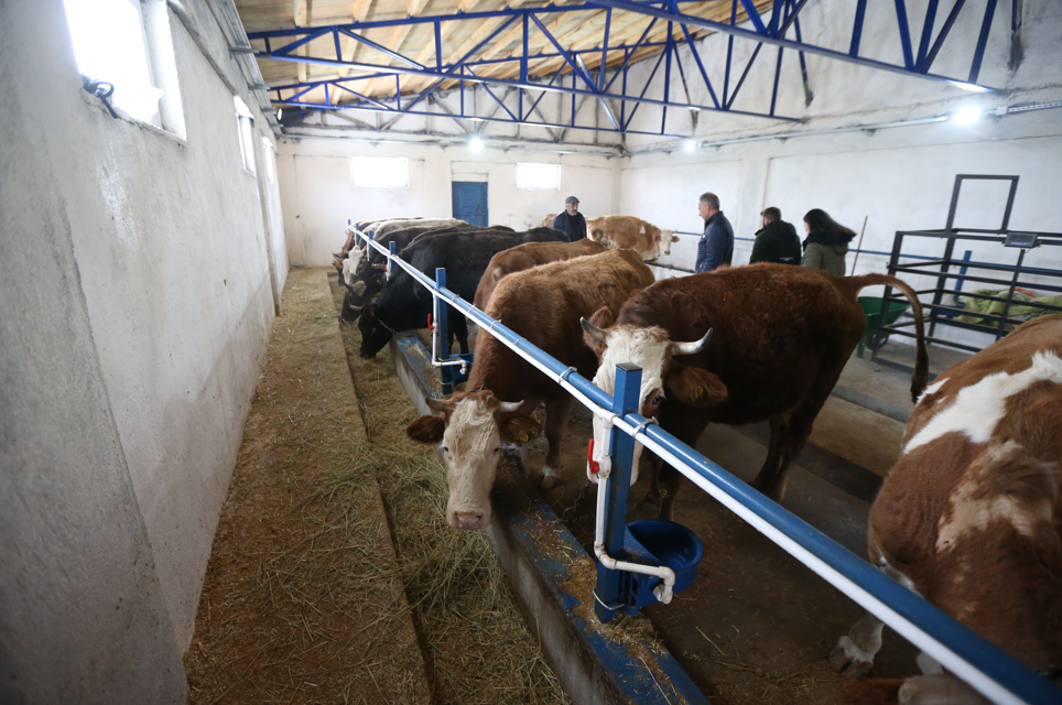 Ekran Görüntüsü 2026 01 07 121844